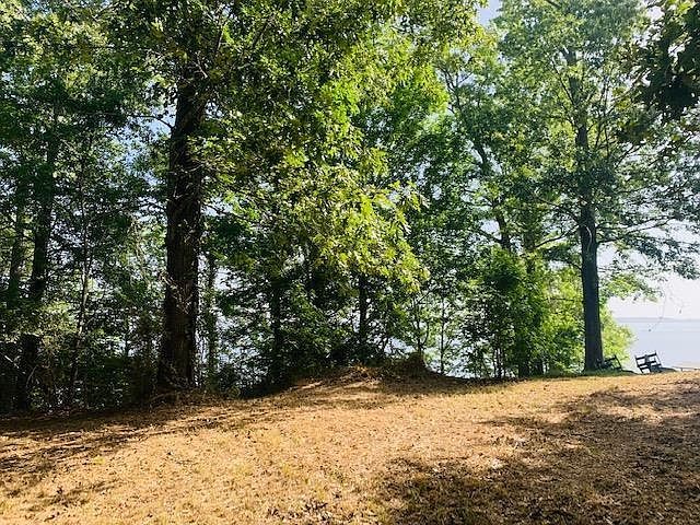 145 Somerset Milam, TX 75959 - Thumbnail 4