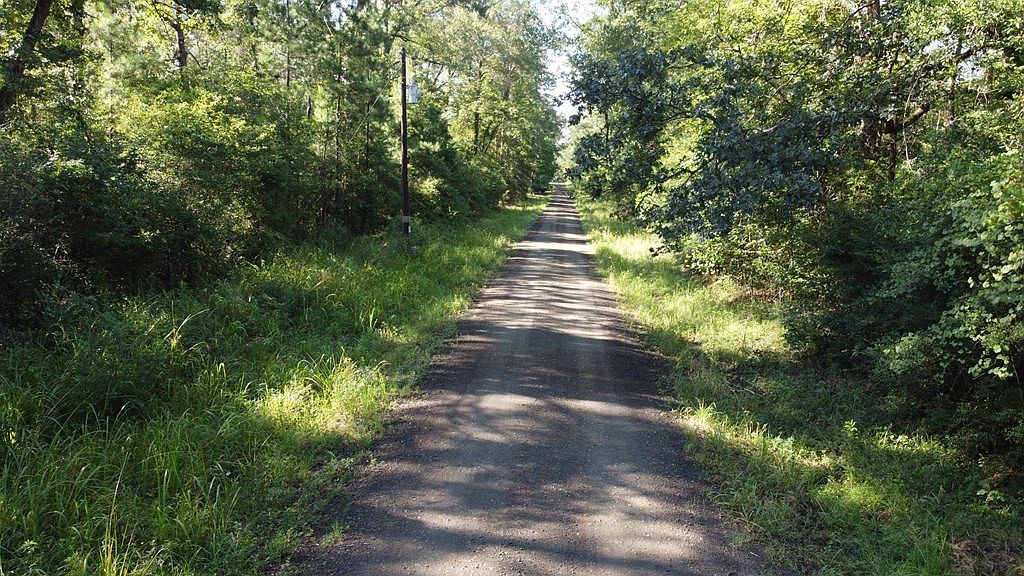 359-2 Mallard St Hemphill, TX 75948 - Thumbnail 4