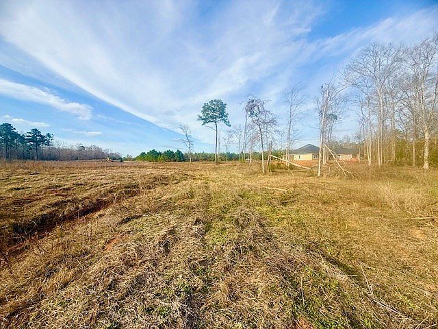 407 Tejas Dr W Hemphill, TX 75948 - Thumbnail 4