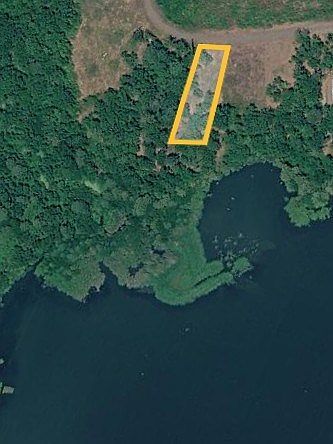 417 Tejas Dr W Hemphill, TX 75948 - Thumbnail 4