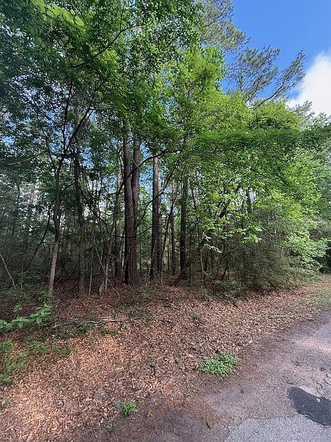 894 Bowline Dr Hemphill, TX 75948 - Thumbnail 4