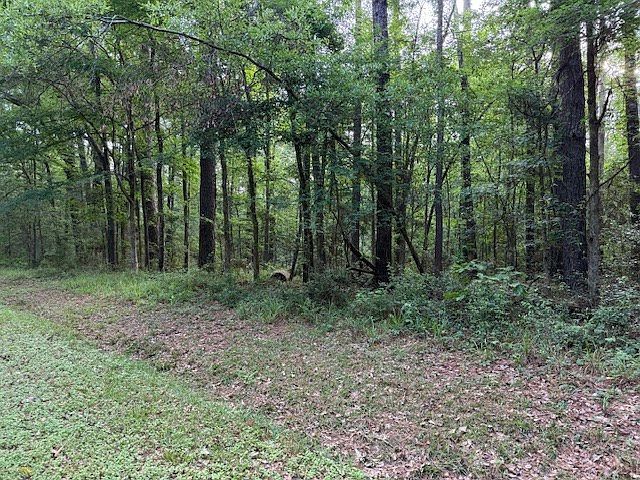 879 Admiral Dr Hemphill, TX 75948 - Thumbnail 4