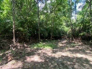 1111 Bull Rd New Lebanon, OH 45345 - Thumbnail 4