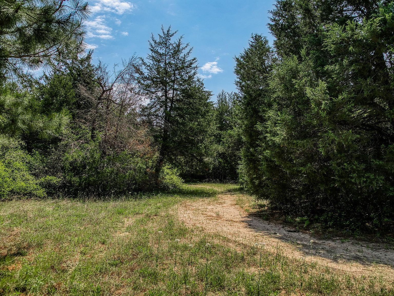 7266 County Road 449 Marquez, TX 77865 - Thumbnail 4