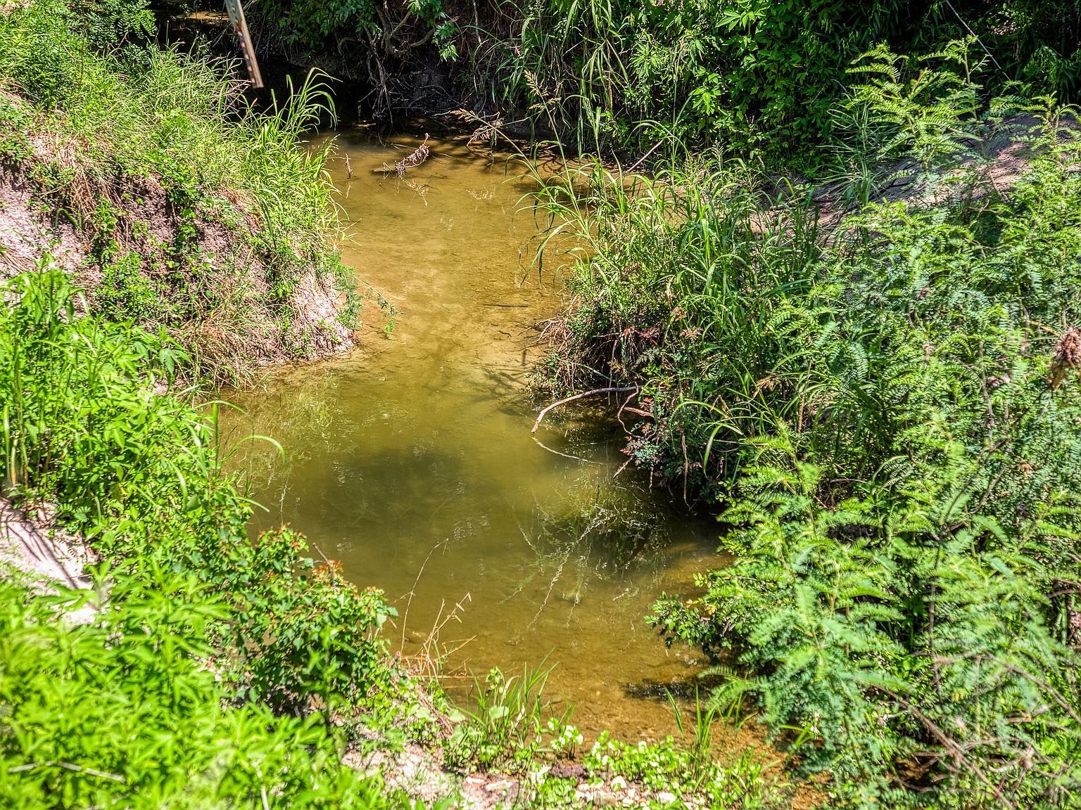 Fm 2621 Brenham, TX 77833 - Thumbnail 4