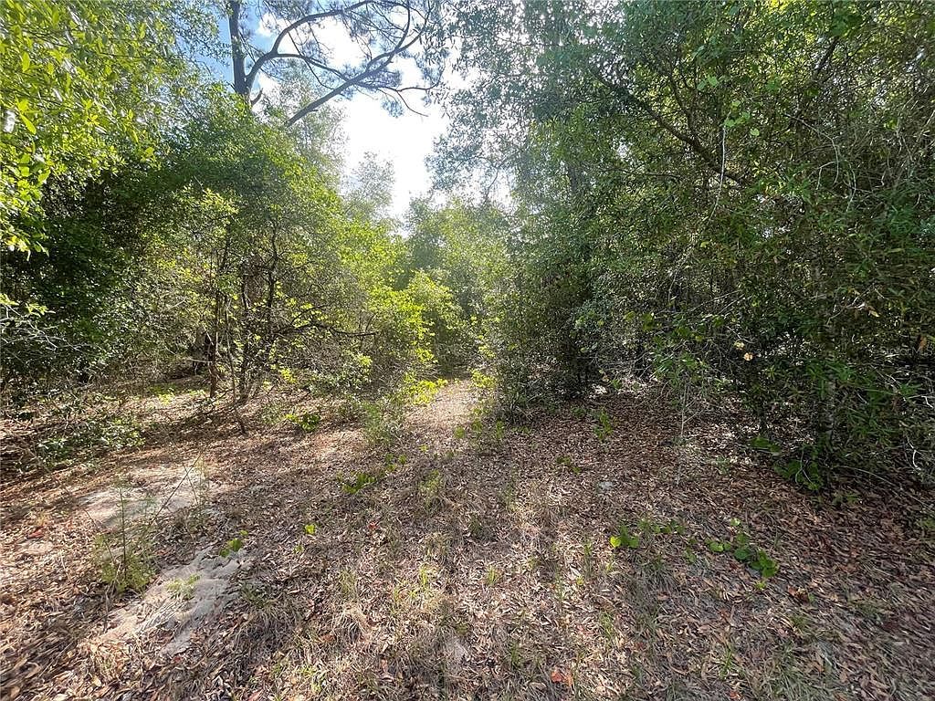 Sequoia Dr LOT 16 Ocklawaha, FL 32179 - Thumbnail 4