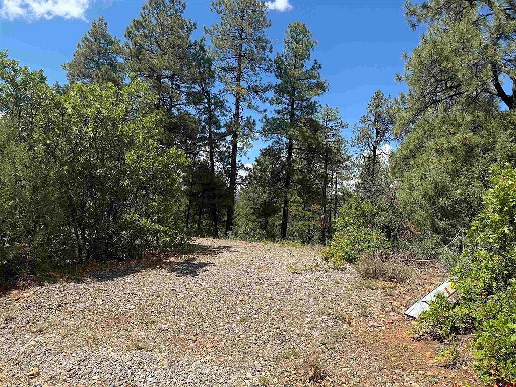 93 & 127 Careys Ct Pagosa Springs, CO 81147 - Thumbnail 4