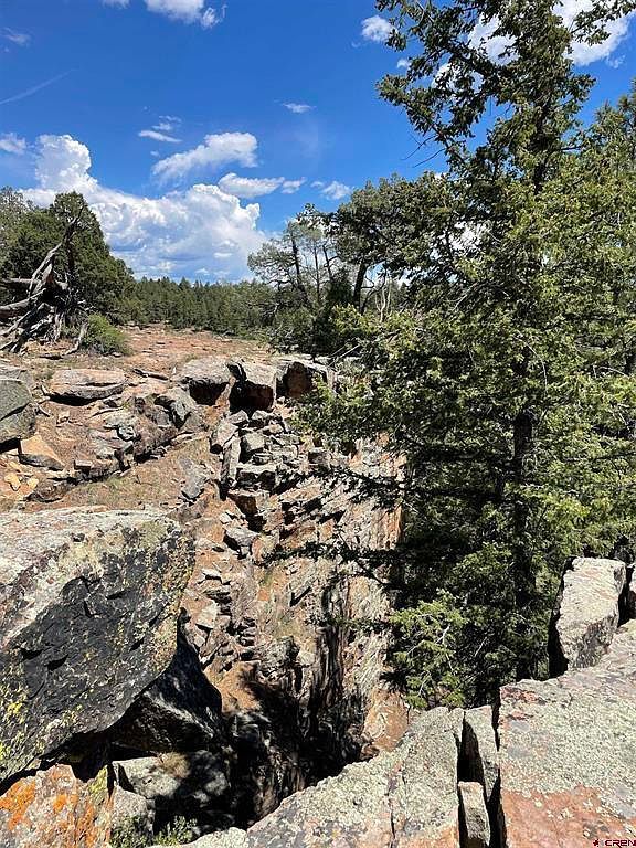 Xx West Hwy #160 Pagosa Springs, CO 81147 - Thumbnail 4