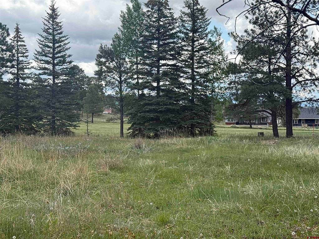 201 Pines Club Pl Pagosa Springs, CO 81147 - Thumbnail 4