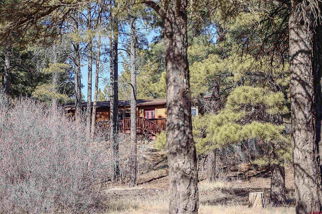 185 Shenandoah Dr Pagosa Springs, CO 81147 - Thumbnail 4