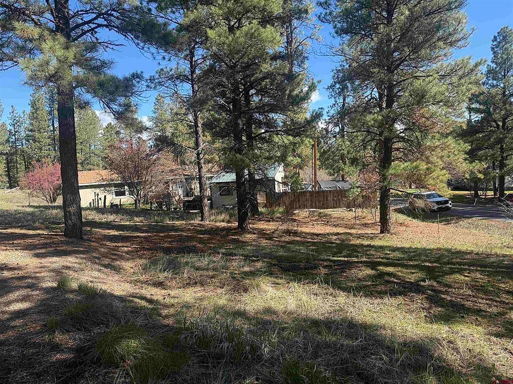 19 Bienvenido Cir Pagosa Springs, CO 81147 - Thumbnail 4