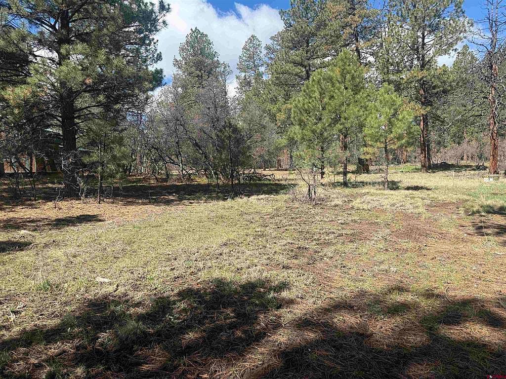 33 Granite Ct Pagosa Springs, CO 81147 - Thumbnail 4