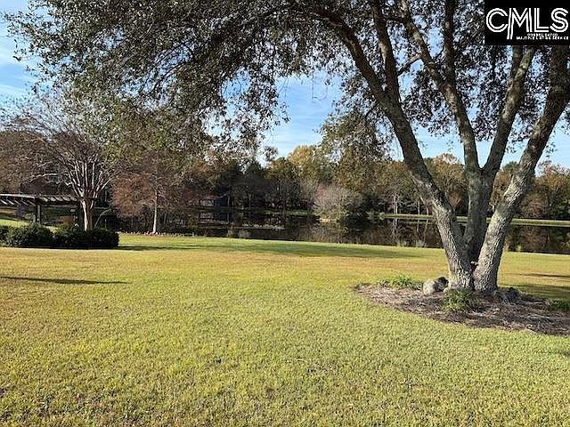 3604 Columbia Rd LOT B-D Orangeburg, SC 29118 - Thumbnail 4