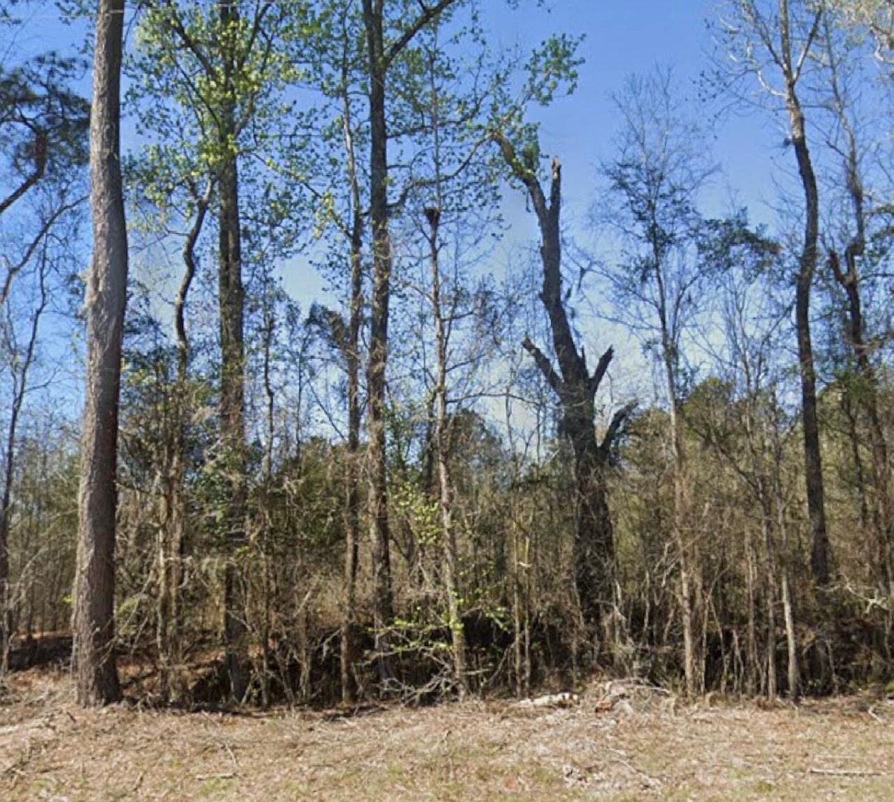 0 Broxton Bridge Rd Bamberg, SC 29003 - Thumbnail 4