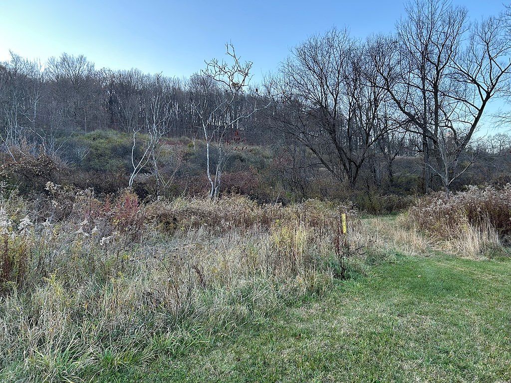 0 Dewey Hollow Rd Mainesburg, PA 16932 - Thumbnail 4