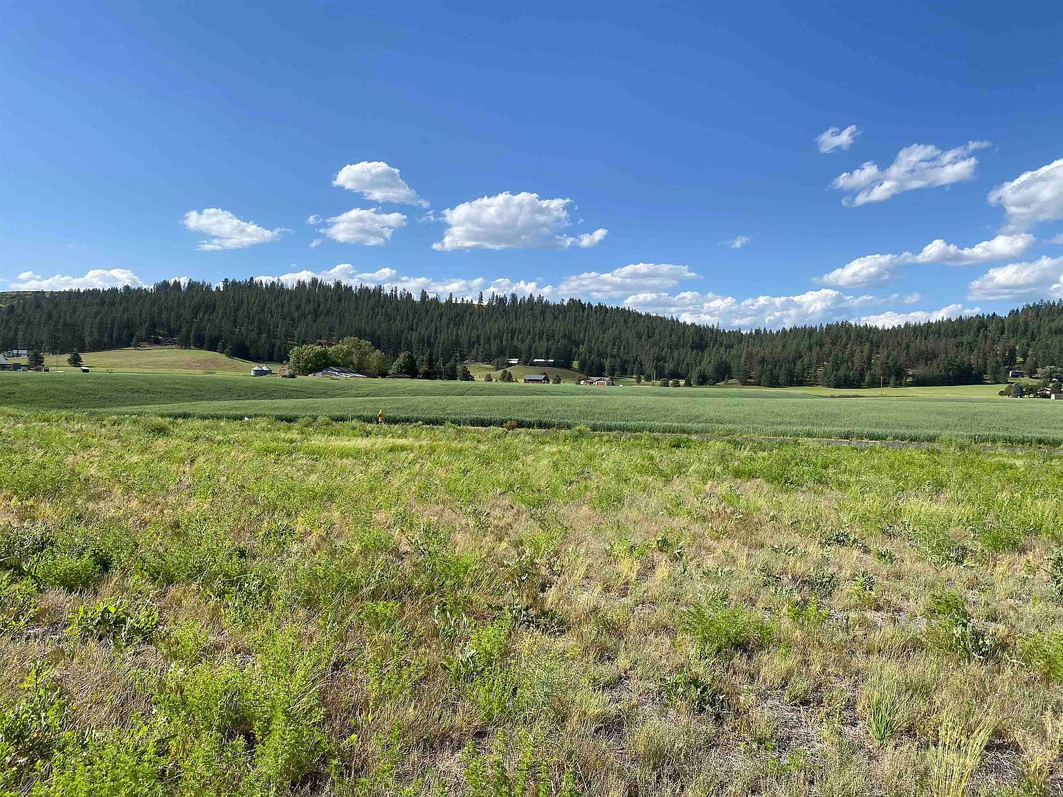 8818 E Little Deep Creek Rd Colbert, WA 99005 - Thumbnail 4