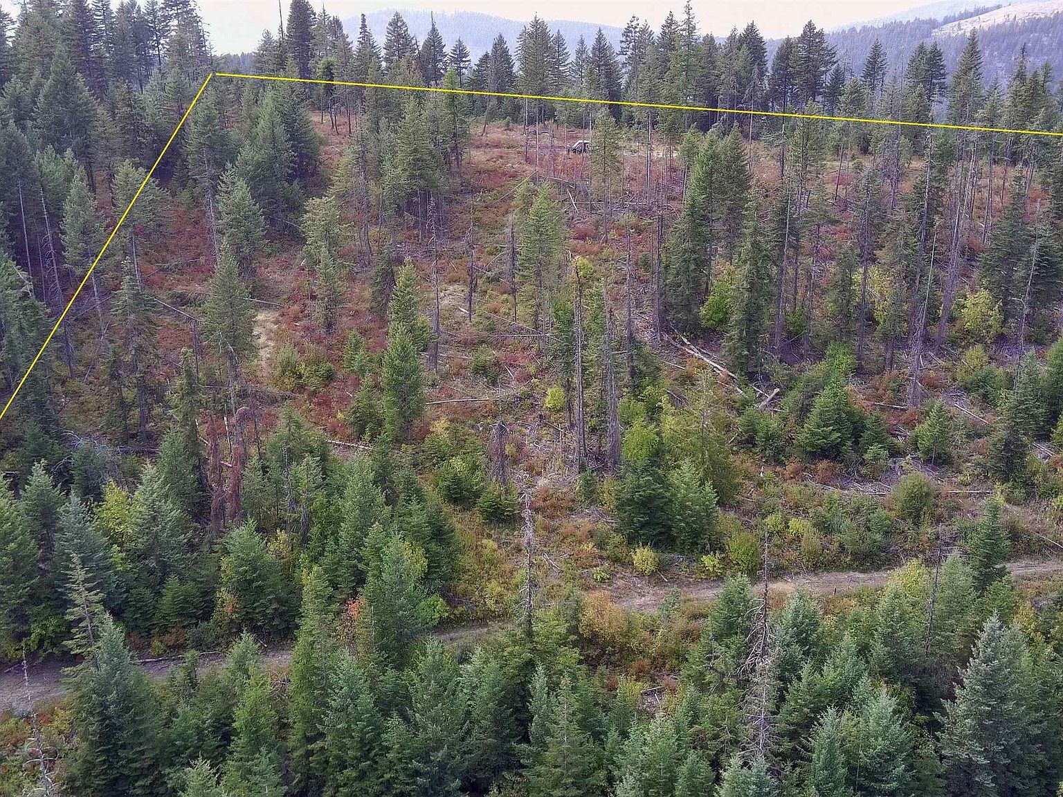 2784 Red Tail Way Colville, WA 99114 - Thumbnail 4