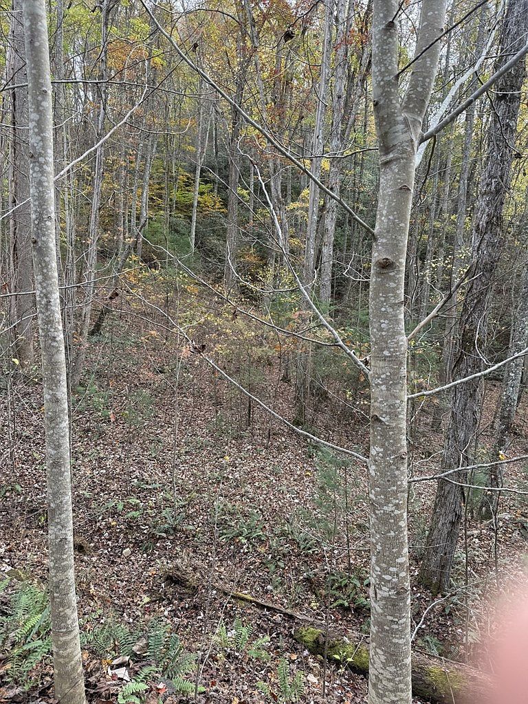 0 Heritage Trl Brasstown, NC 28902 - Thumbnail 4