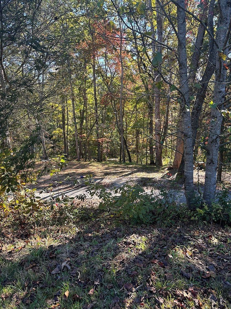 78 Vinings Pointe Hayesville, NC 28904 - Thumbnail 4