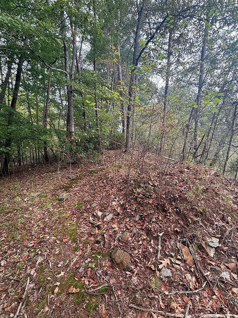 0 Beaver Ridge Rd Murphy, NC 28906 - Thumbnail 4