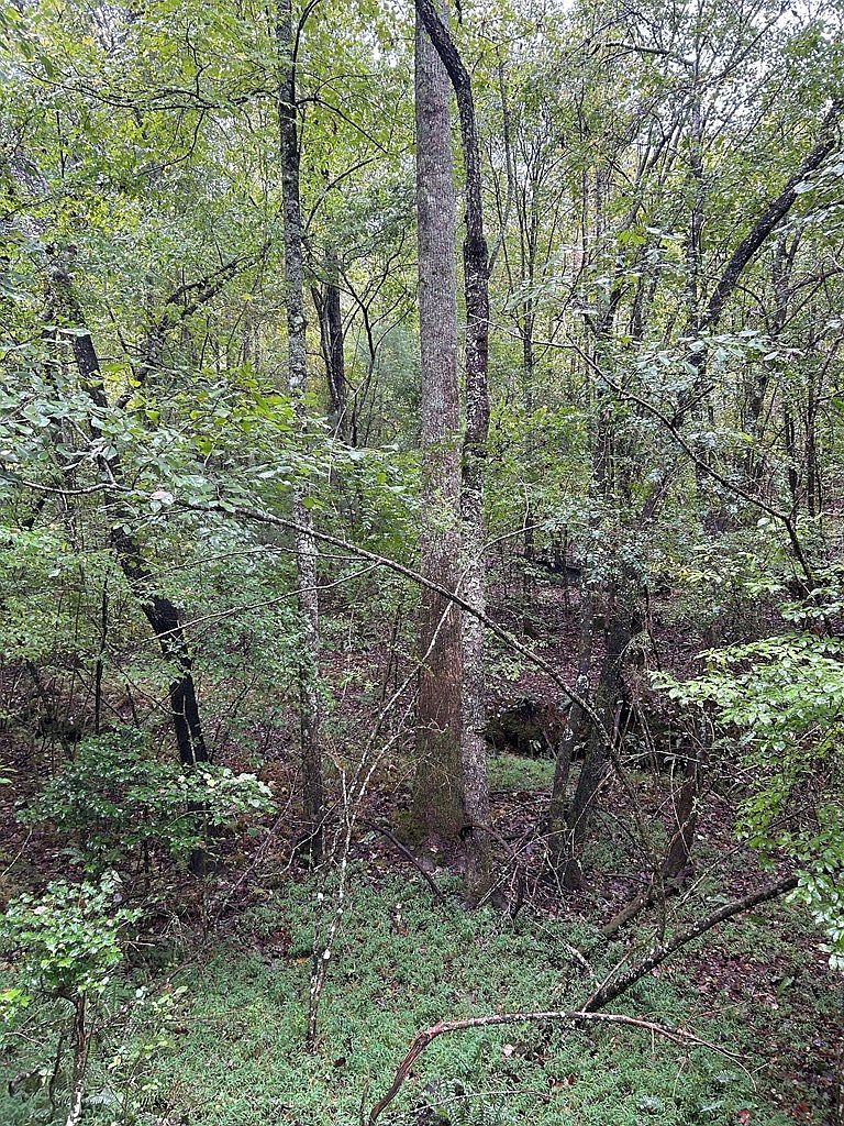 0 Johnsonville Rd Murphy, NC 28906 - Thumbnail 4