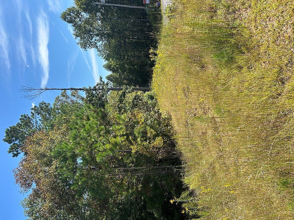 24 My Easy St Murphy, NC 28906 - Thumbnail 4