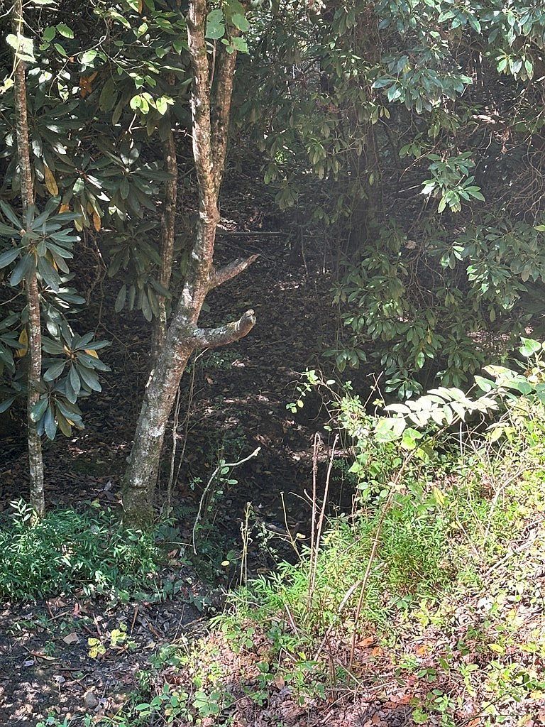 0 Hy Cobb Dr Murphy, NC 28906 - Thumbnail 4