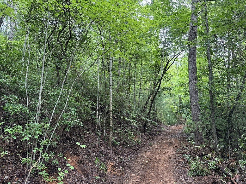 0 Owl Creek Rd Murphy, NC 28906 - Thumbnail 4