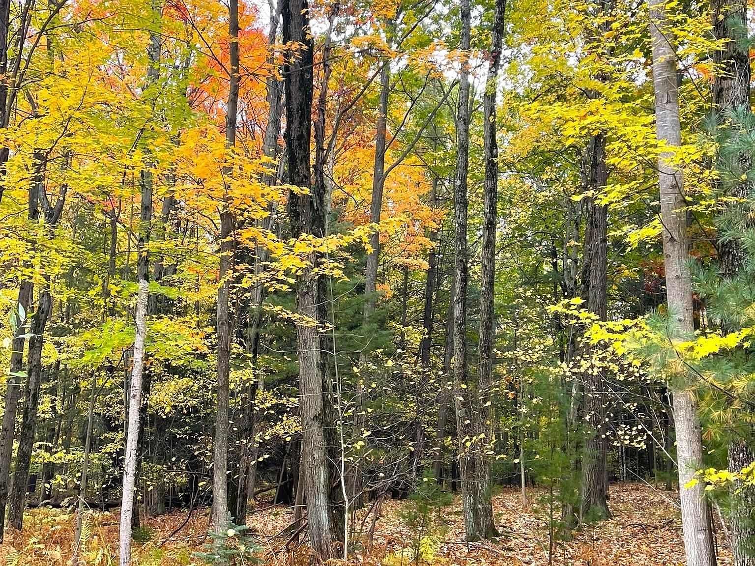 Hilltop Ln Mount Pleasant, MI 48858 - Thumbnail 4