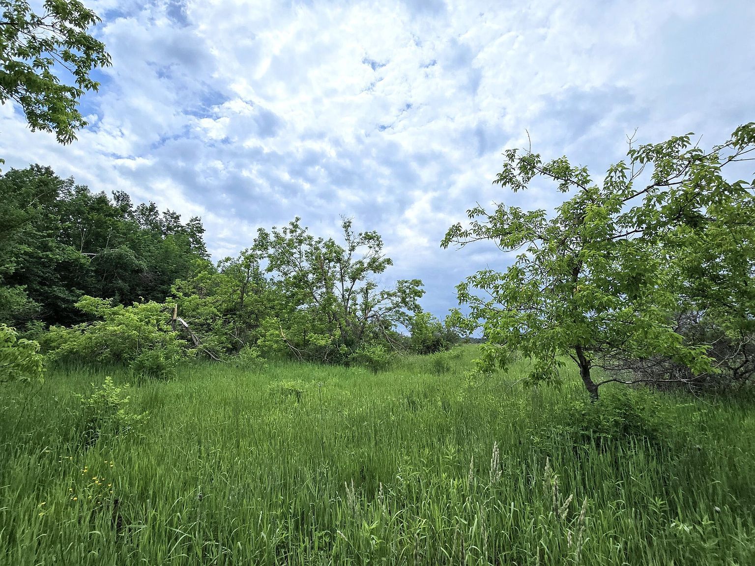 12551 Freel Hwy Millersburg, MI 49759 - Thumbnail 4