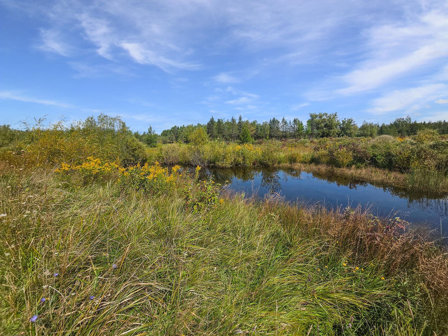 V/l 16 Ac Page Rd Cheboygan, MI 49721 - Thumbnail 4