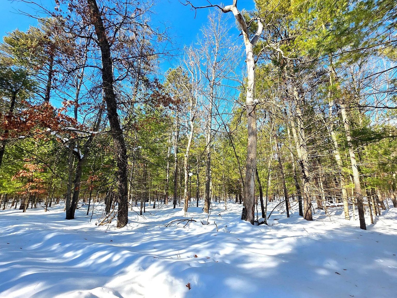 Vl 20 29 Monroe Ave Grayling, MI 49738 - Thumbnail 4