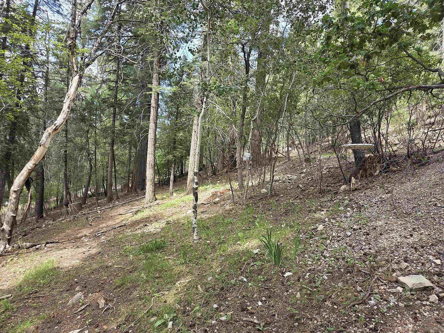 304 Swallow Pl Cloudcroft, NM 88317 - Thumbnail 4