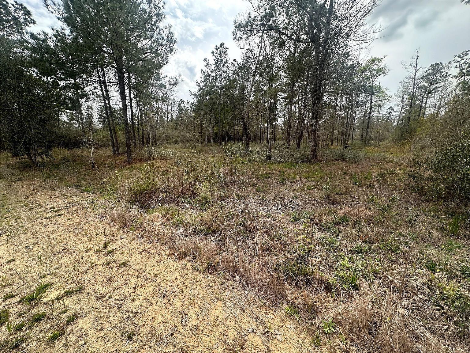 219 Iron Horse Rd New Waverly, TX 77358 | Land/Lot