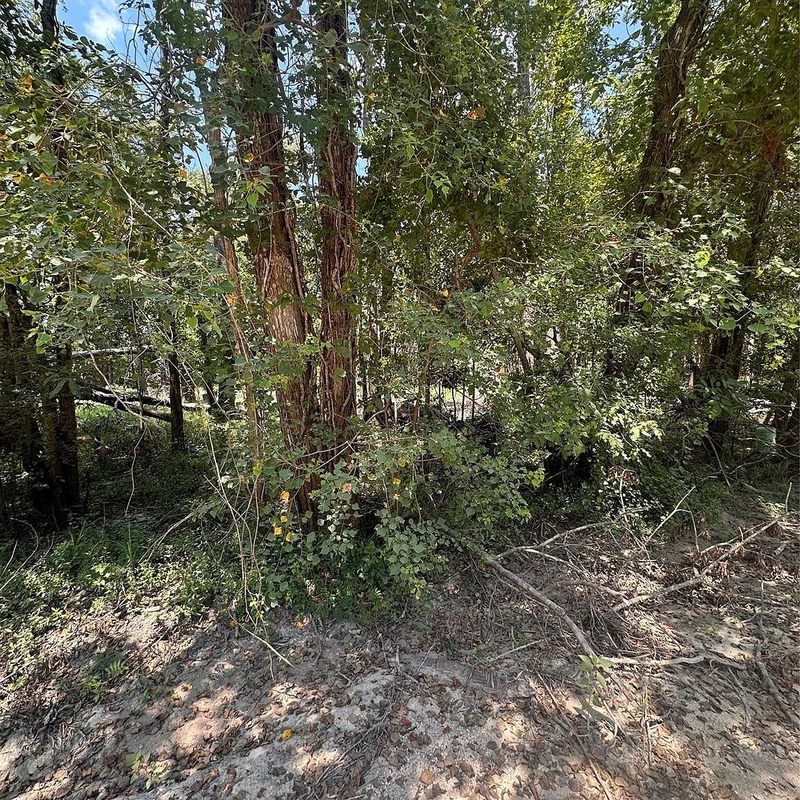 Private Road 6444 Dayton, TX 77535 - Thumbnail 4