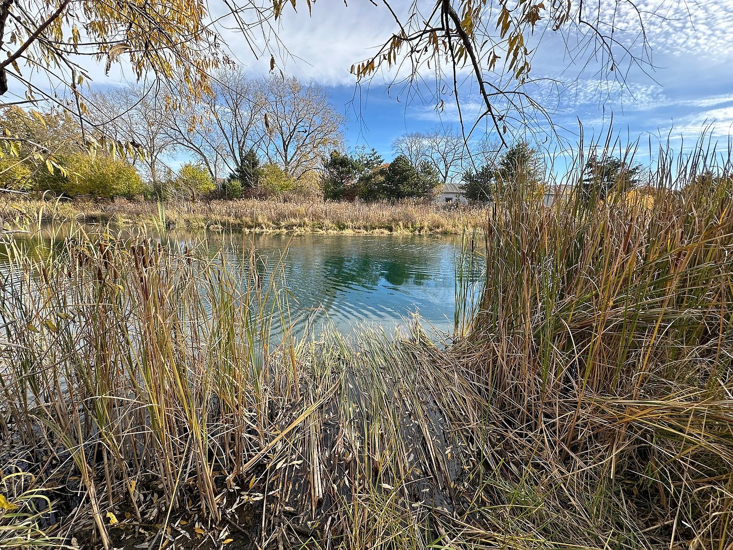 3 Templeton Dr Oak Brook, IL 60523 - Thumbnail 4