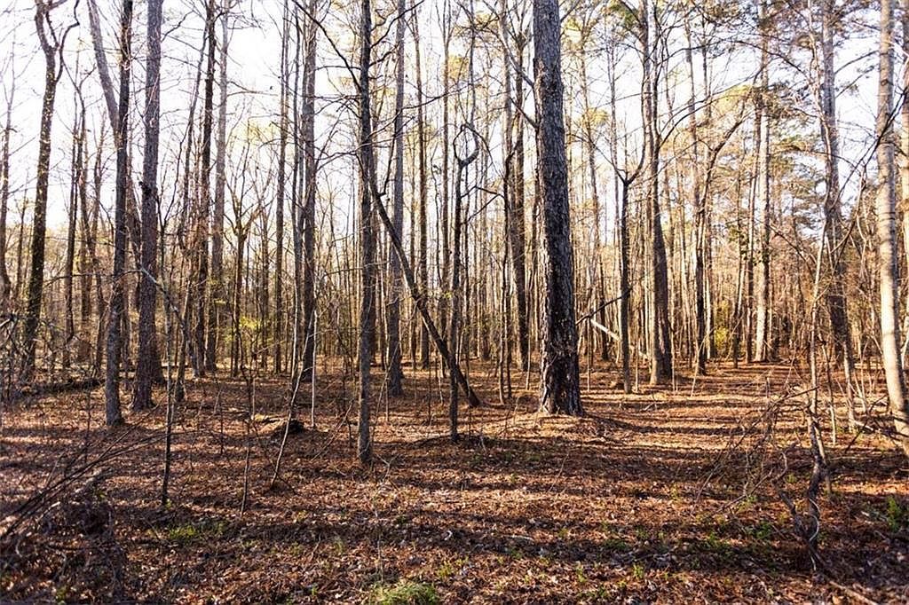 0 Social Circle Pkwy Social Circle, GA 30025 - Thumbnail 4