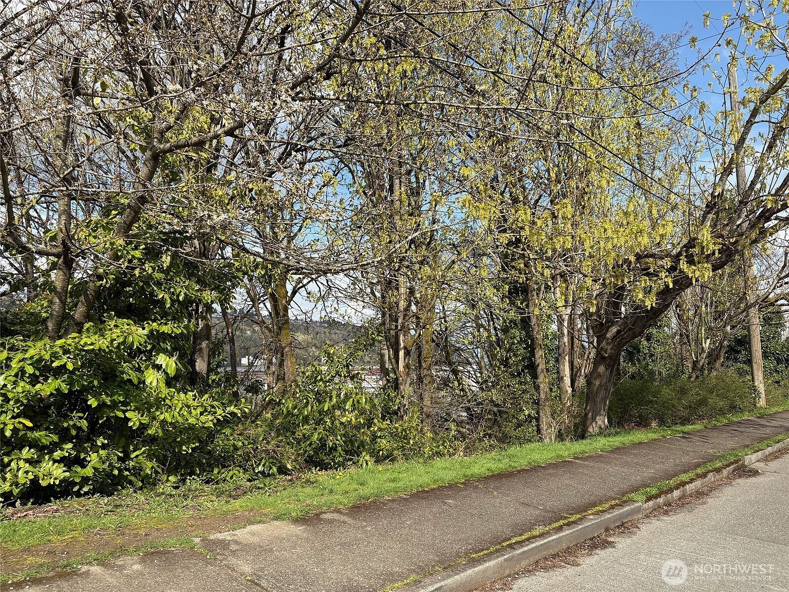 38 Xx 21st Ave Seattle, WA 98106 - Thumbnail 4