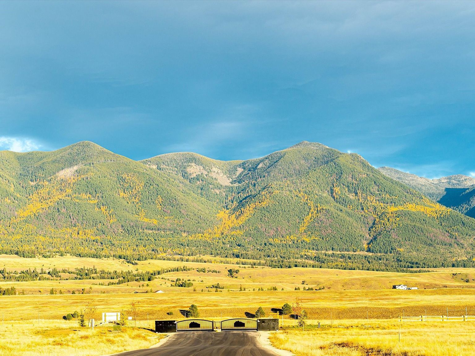 542 Paradise Loop LOT 7 Eureka, MT 59917 - Thumbnail 4