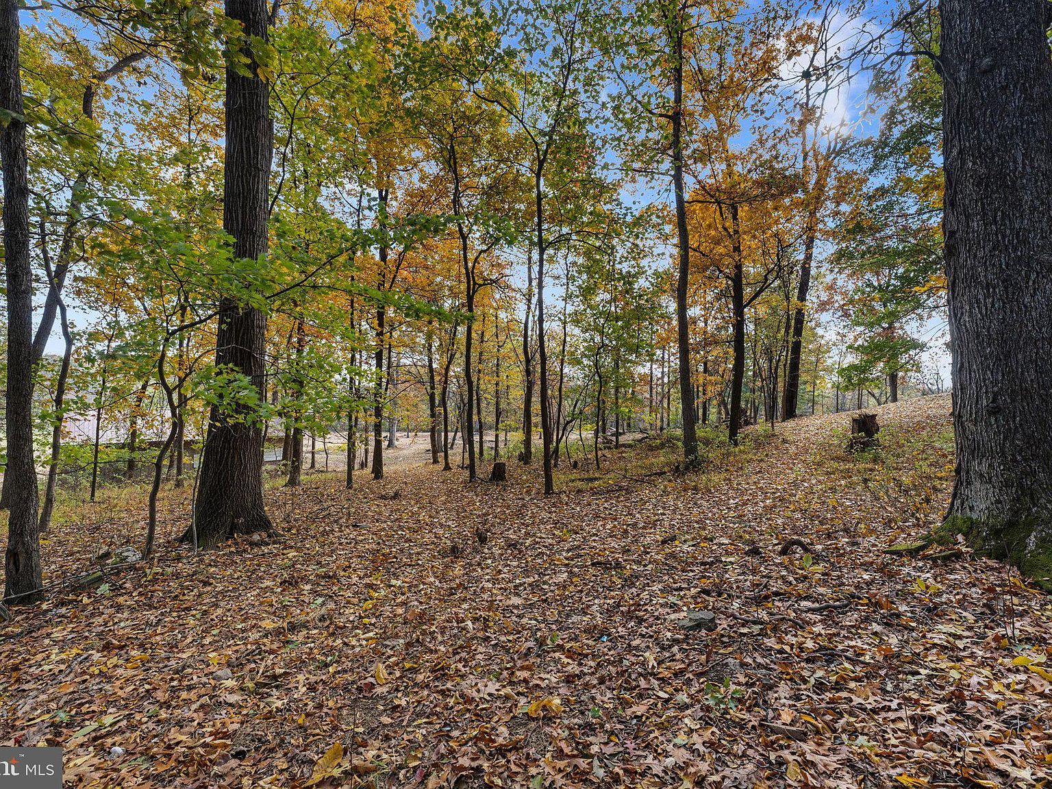 16559 Woodchase Ln Round Hill, VA 20141 - Thumbnail 4