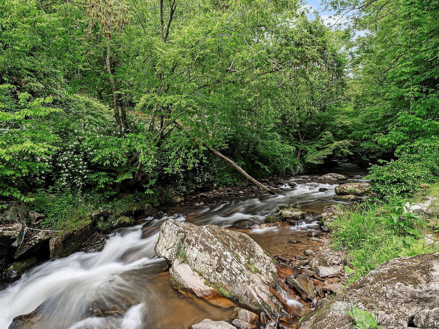 14518 Big Laurel Rd Mars Hill, NC 28754 - Thumbnail 4