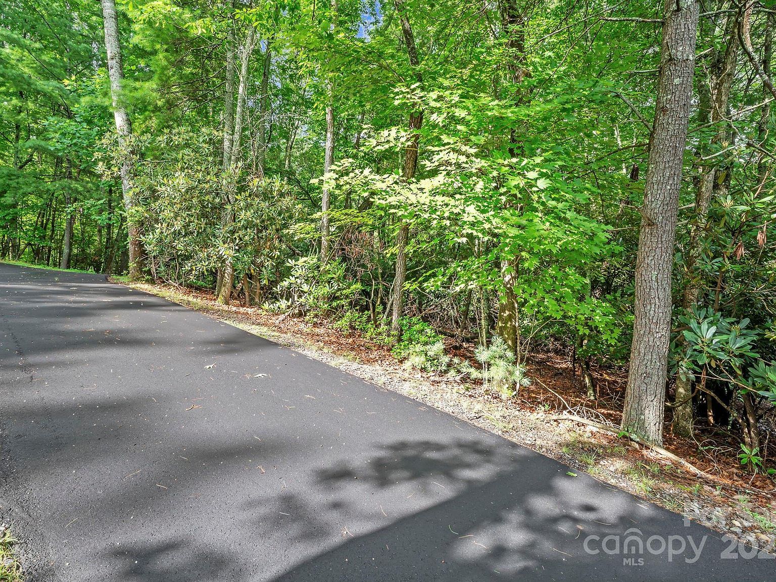 52 Dividing Ridge Trl Arden, NC 28704 - Thumbnail 4