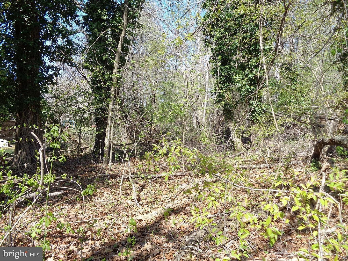 0 Piscataway Rd Clinton, MD 20735 - Thumbnail 4