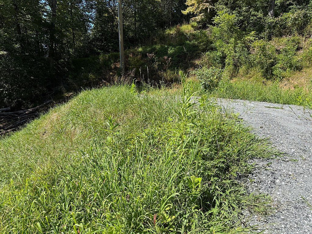 4B Dakota Way Bryson City, NC 28713 - Thumbnail 4