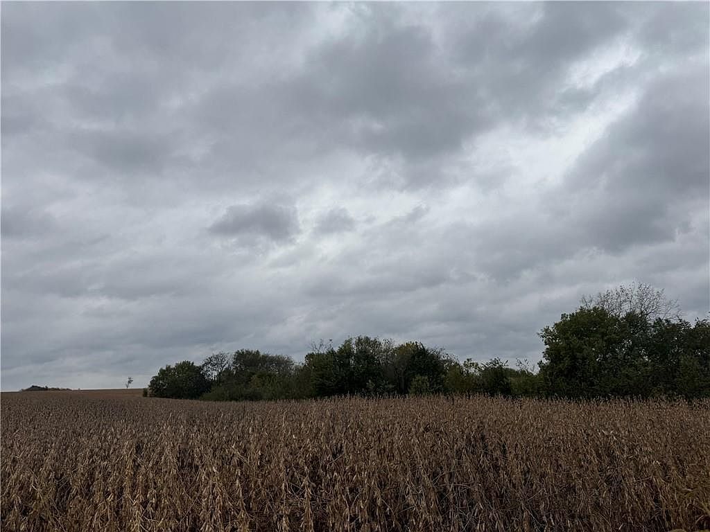 Quartz And Elm St Gallatin, MO 64640  | Land/Lot