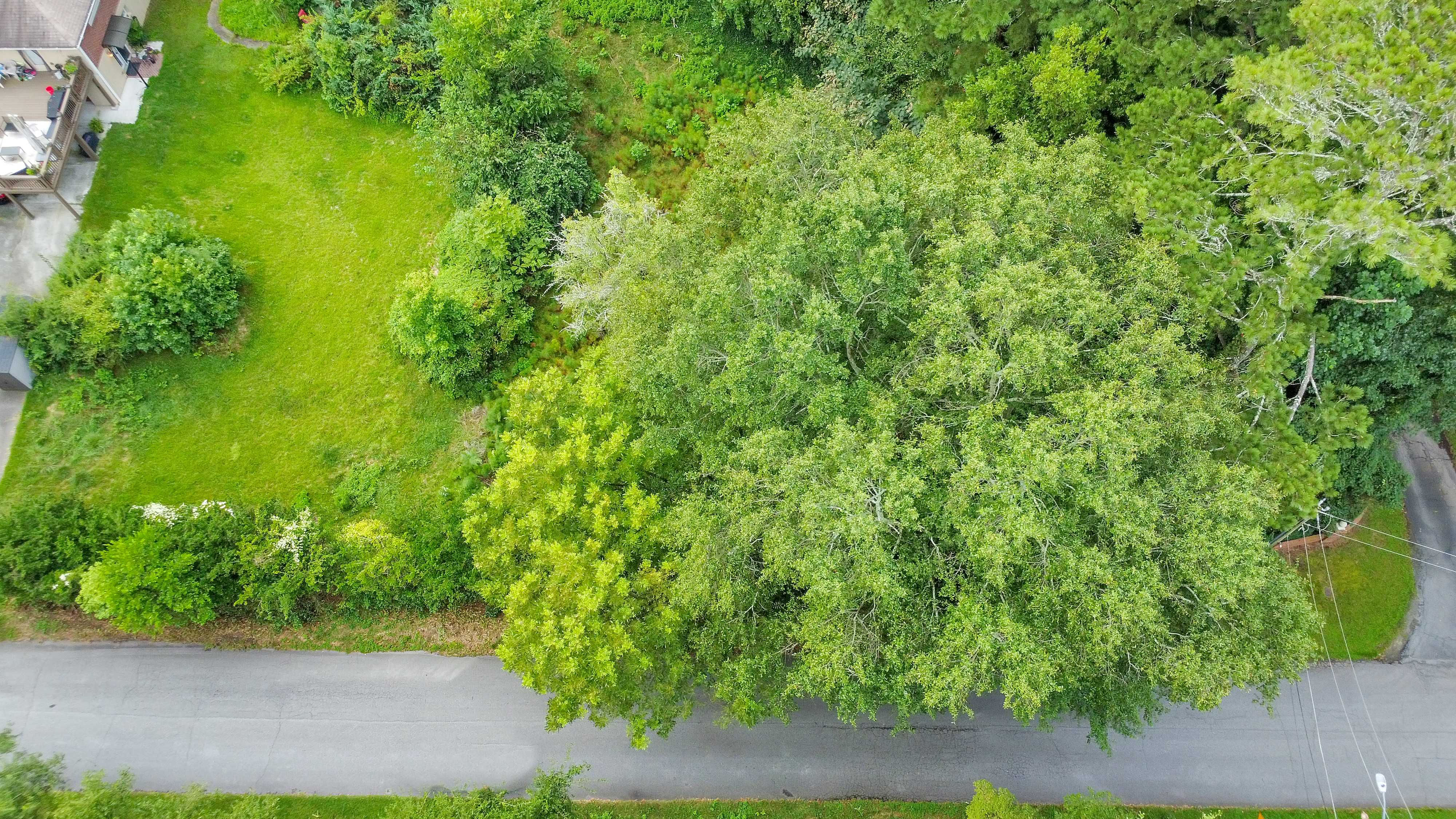 Holly Springs Road, Marietta, GA, USA, 30062 - Thumbnail 4