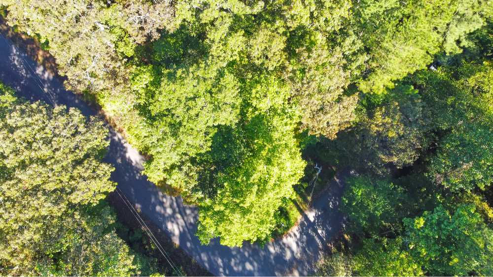 6156 Belle Meade Drive, Villa Rica, Georgia 30180, USA - Thumbnail 4