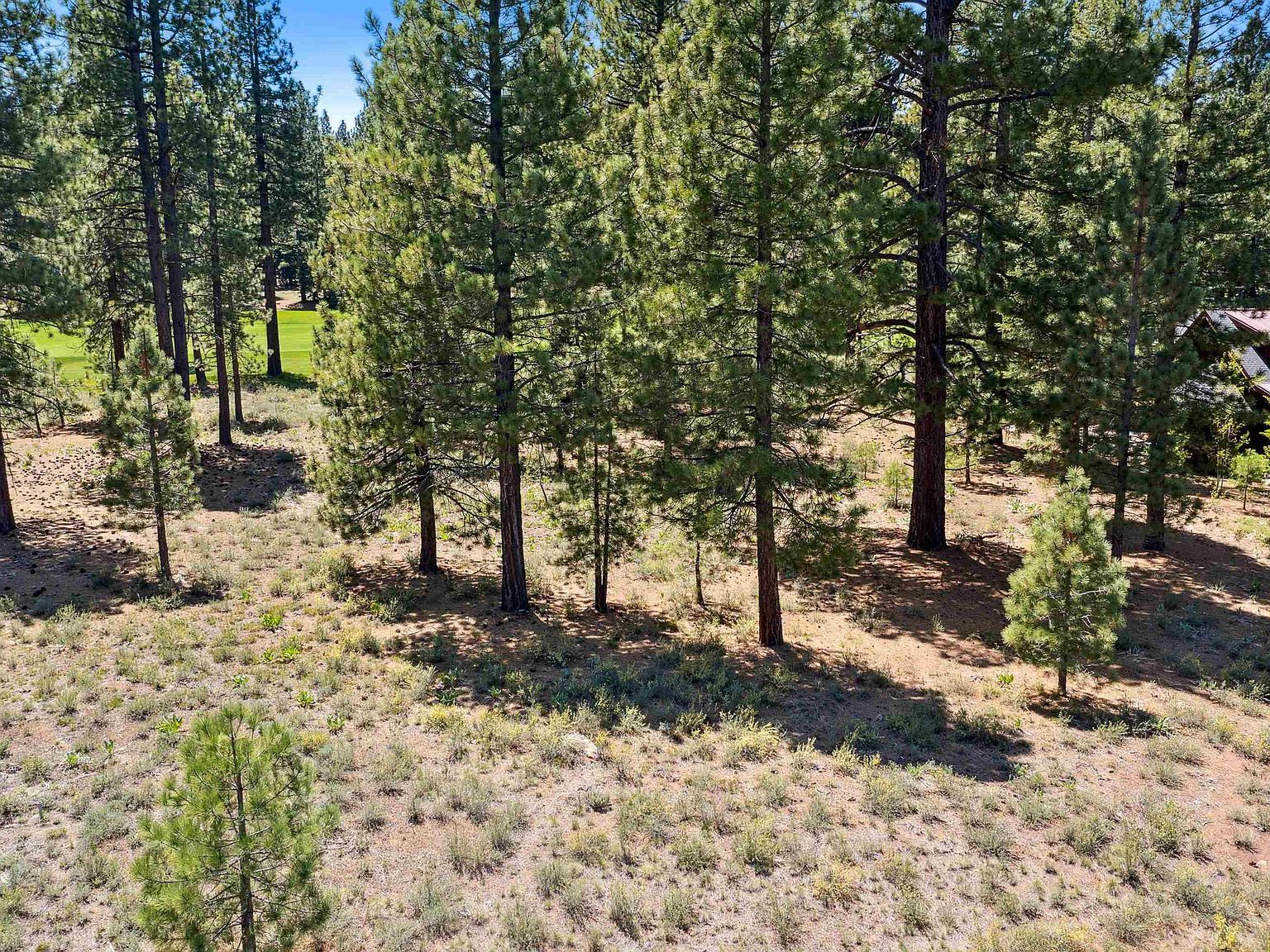 8201 Lahontan Dr Truckee, CA 96161 - Thumbnail 4