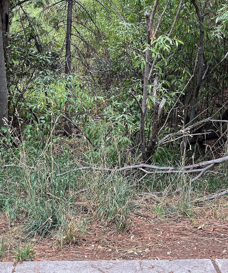 0 Secline St Kings Beach, CA 96143  | Land/Lot