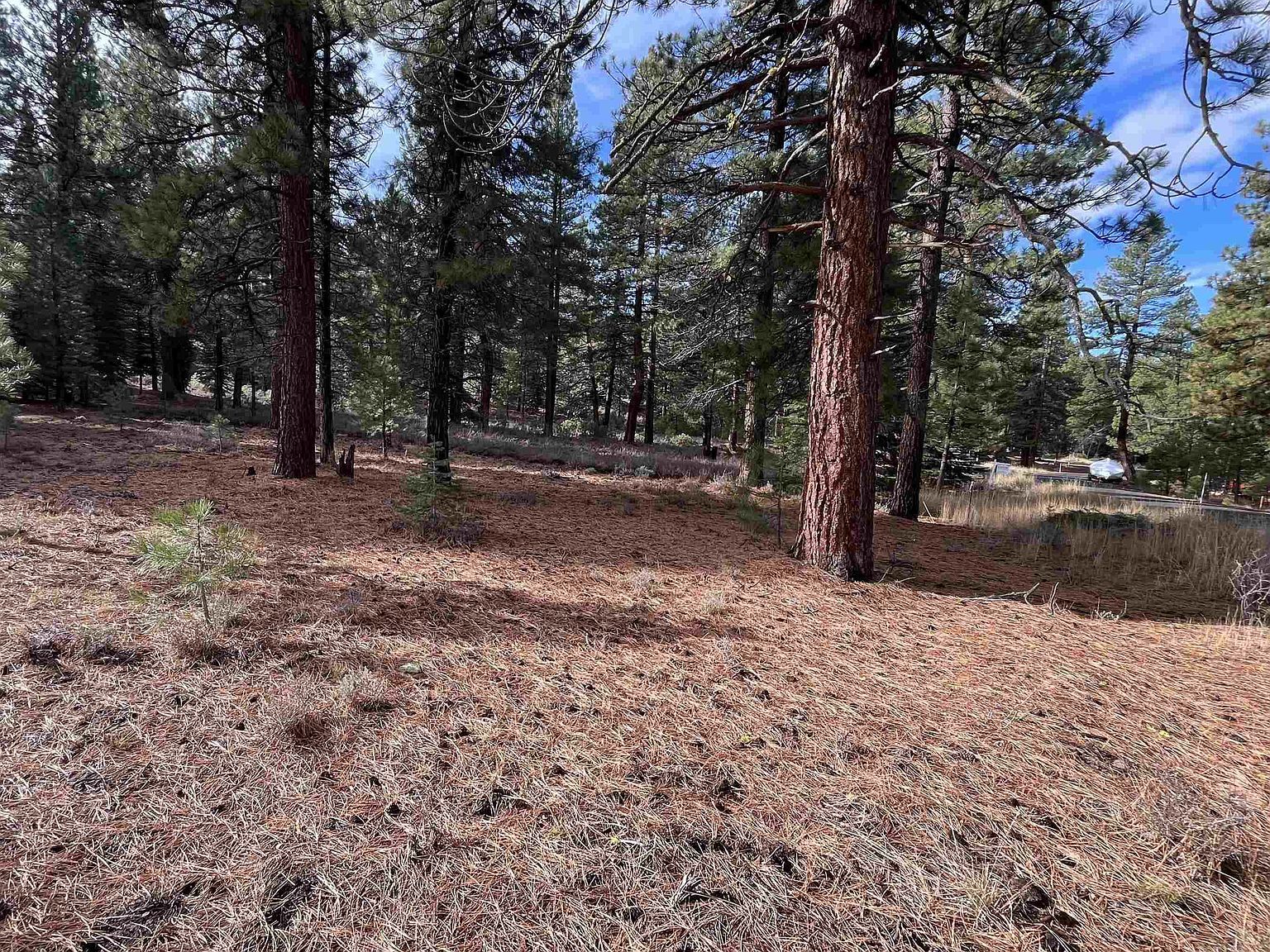 15411 Kent Dr Truckee, CA 96161 - Thumbnail 4